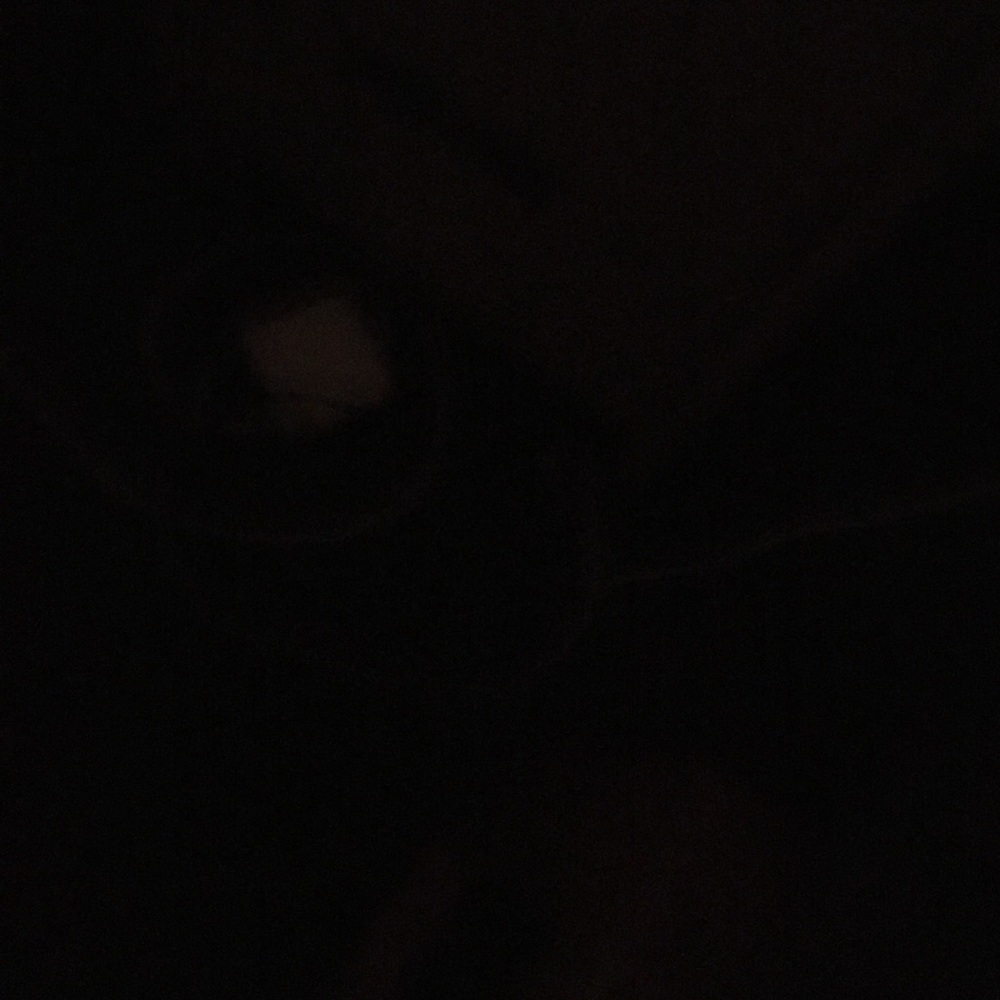 Meet your Posher, Jacky